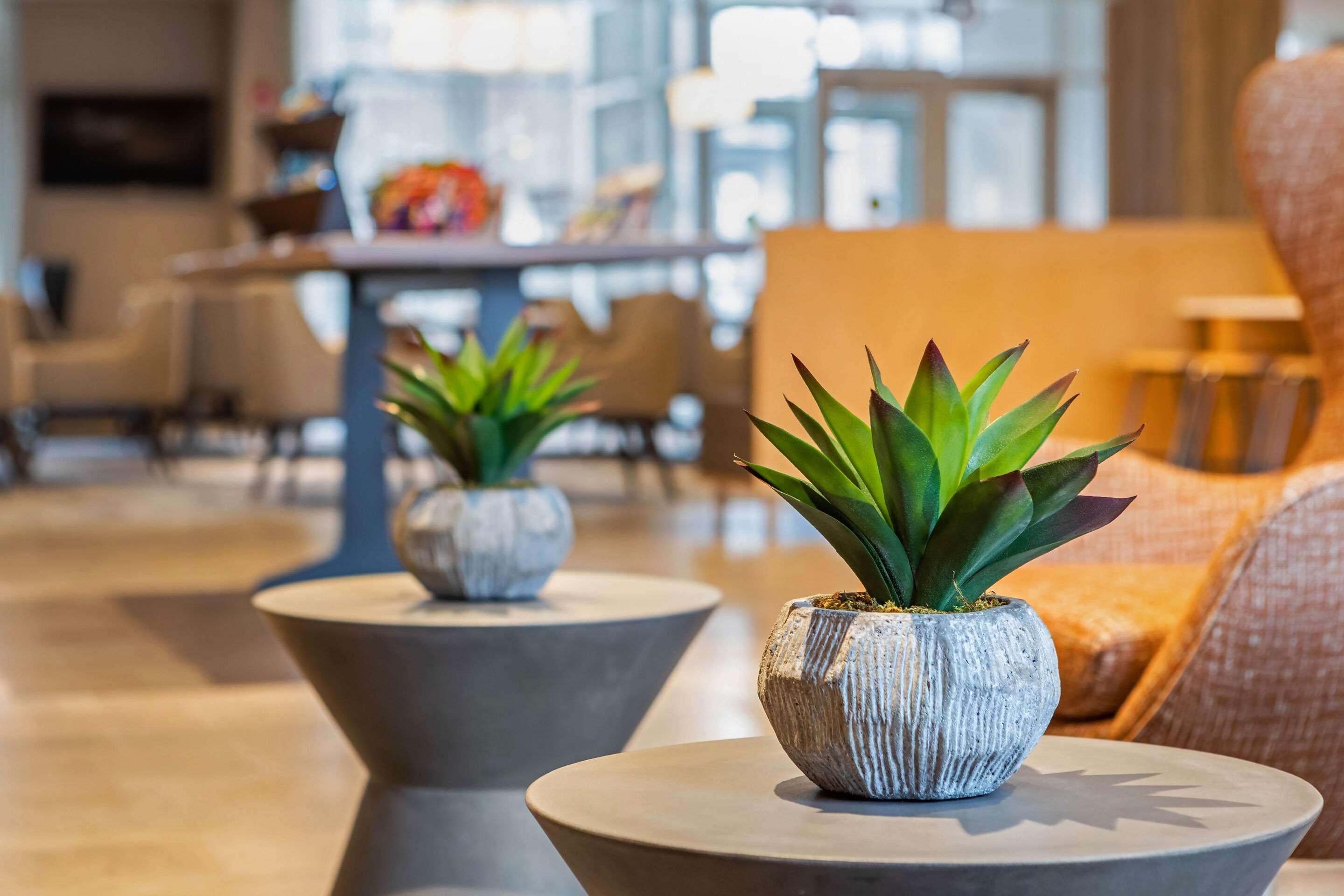 Cambria Hotel Orlando Airport Exterior photo